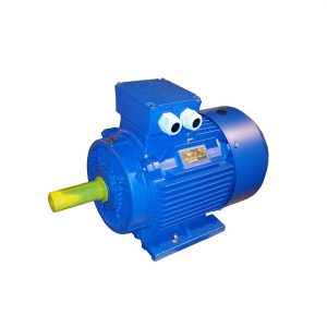 Электродвигатель АИР200L4